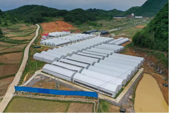 1713954173367443.png image.png