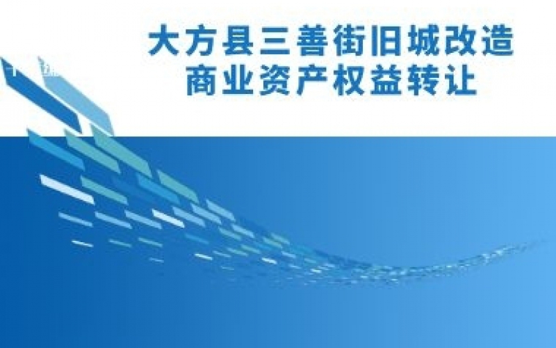 大方縣三善街舊城改造商業(yè)資產(chǎn)權(quán)益轉(zhuǎn)讓